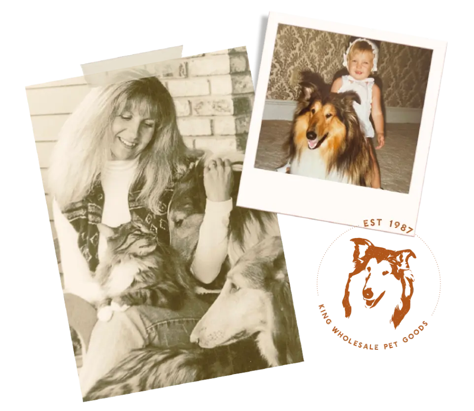 collage of dogs and family