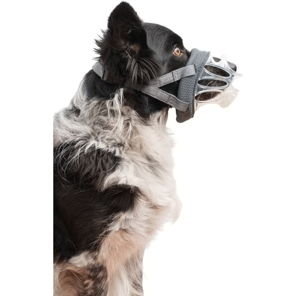 COMPANY OF ANIMALS Baskerville Invisa Muzzle Size 4 Clear