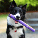 RUFF DAWG Stick Crunch