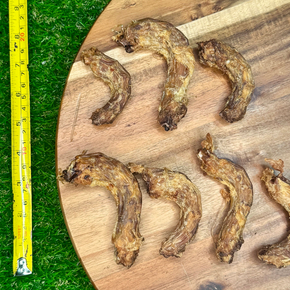 FUREVER FIERCE Chicken Neck 5ct Bag