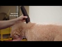 youtube - [Video]