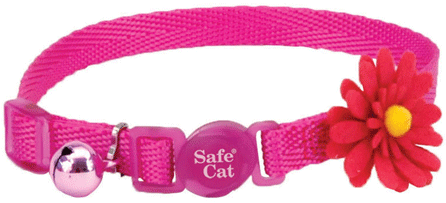 *COASTAL Safe Cat Embellished Fashion Collar 8-12x3/8 Pink