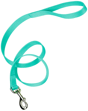 COASTAL Nylon Lead 6'x3/4 Teal