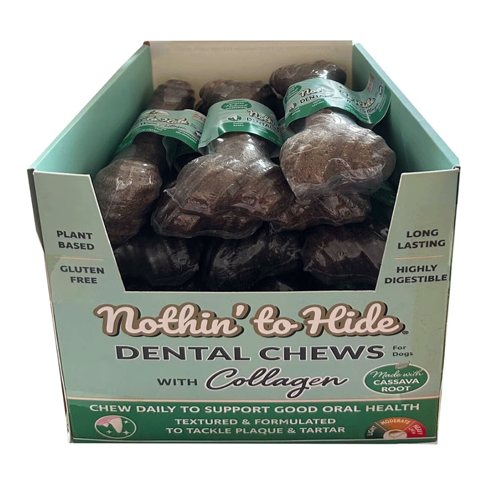 NOTHIN' TO HIDE Dental Bones 5" 24pc Box