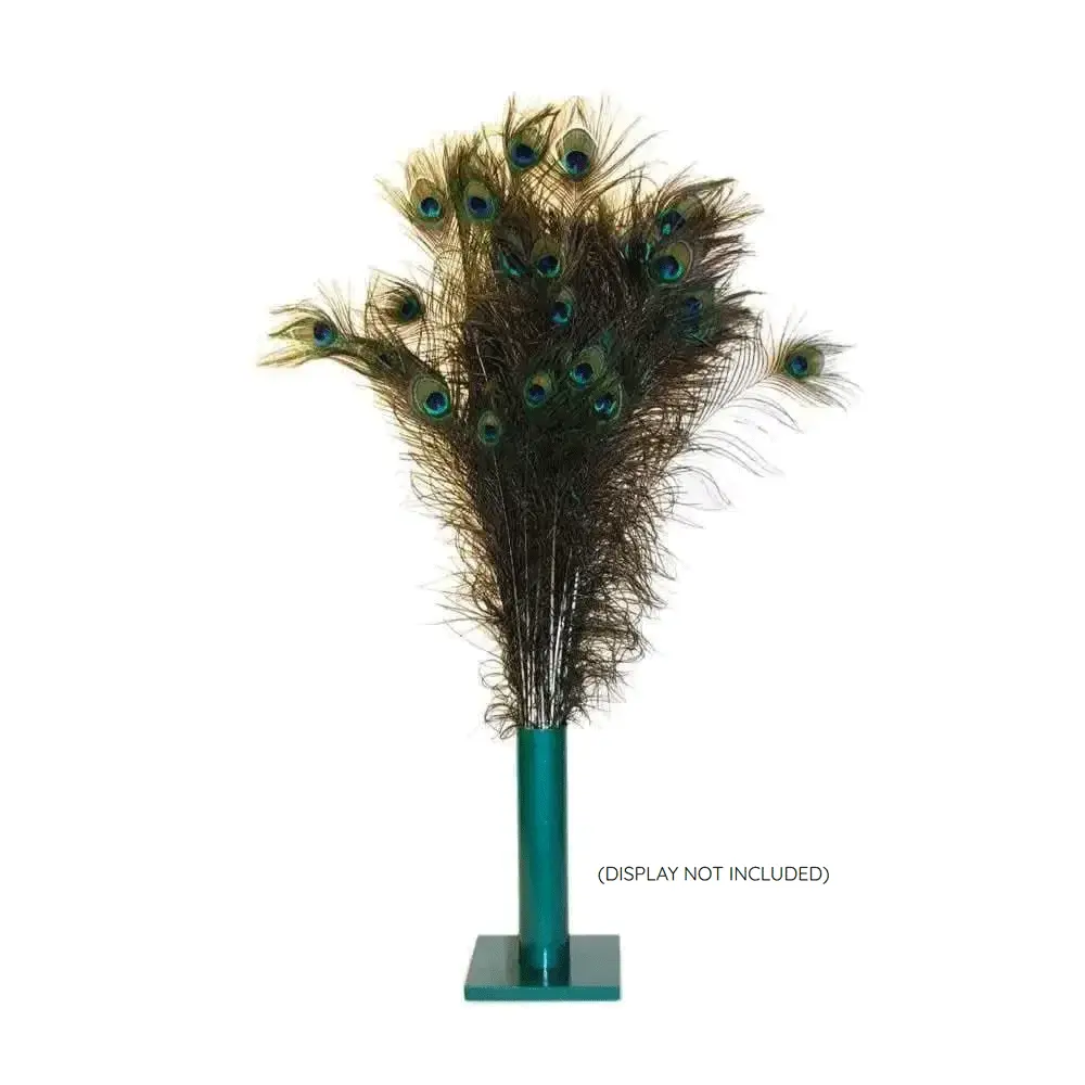 VEE ENTERPRISES PURRfect Peacock Feather Cat Toy 100ct
