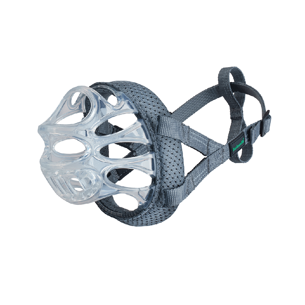COMPANY OF ANIMALS Baskerville Invisa Muzzle Size 6 Clear