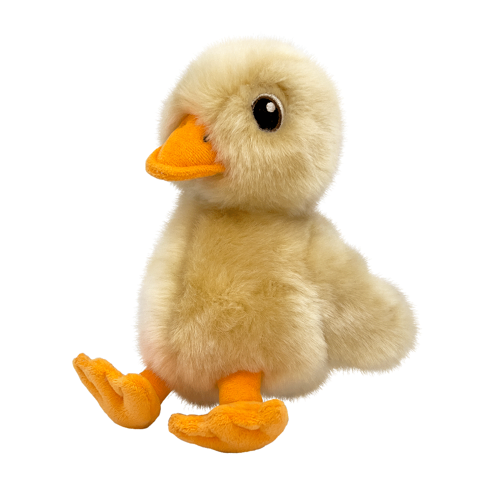 KONG Toughz Duck M