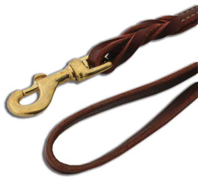 COASTAL Latigo Twisted Lead 6ft x 1in