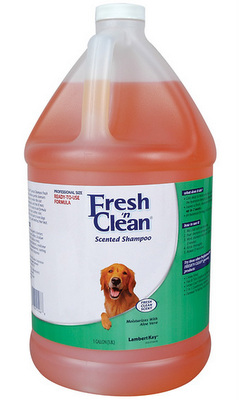 LAMBERT KAY Fresh'n Clean Shampoo G