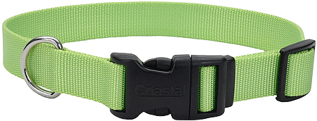 *COASTAL TUFF Adjustable Dog Collar 14-20x3/4 Lime