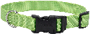 *COASTAL TUFF Adjustable Dog Collar 14-20x3/4 Lime