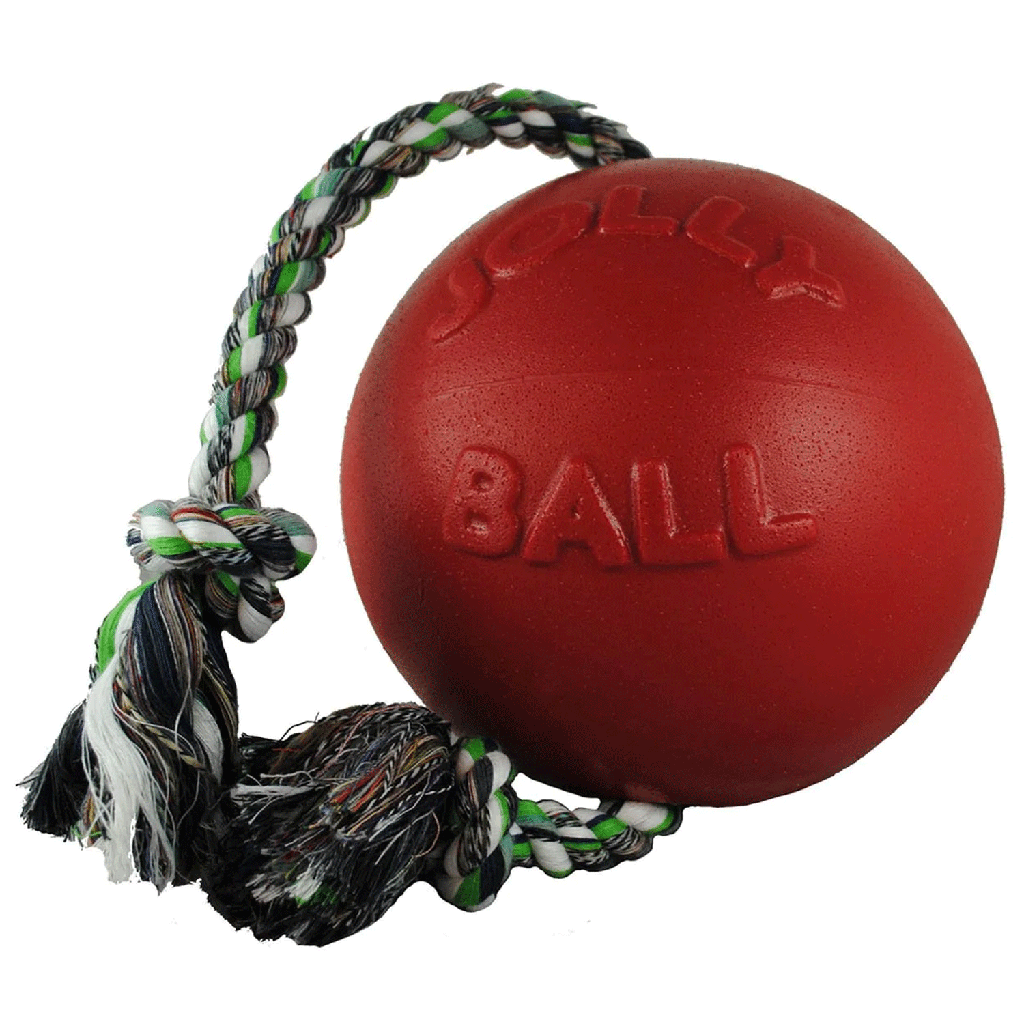 JOLLYPET Romp-n-Roll 8" Red L