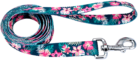 [CA966 TRP FLW] PET ATTIRE Styles Dog Leash 6'x1 Tropical Flower