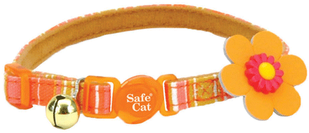 [CA6706 ORANGE] *COASTAL Safe Cat Embellished Fashion Collar 8-12x3/8 Stripe Orange