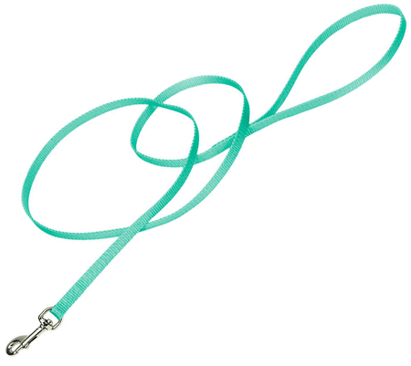 [CA304 TEAL] *COASTAL Nylon Lead 4'x3/8 Teal