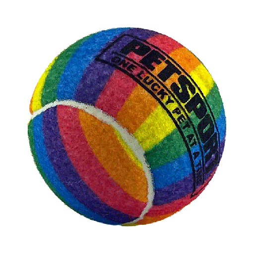 [PS70331] PETSPORT Rainbow Squeak Ball 4" 1pk