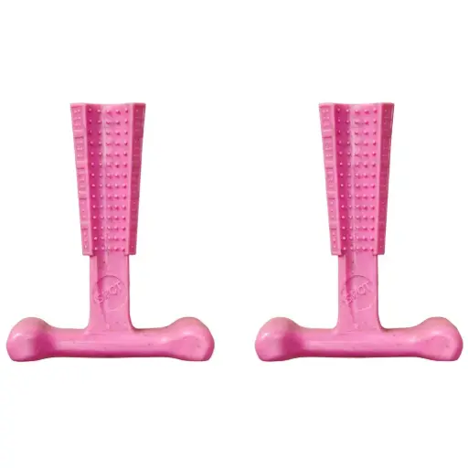 [E55009] ETHICAL/SPOT Bam-Bone Puppy 2pk Pink Chicken 4"