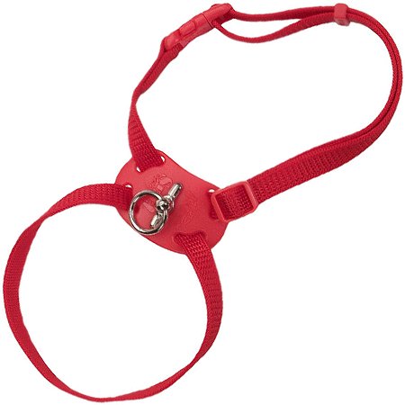 [CA7348 RED] *COASTAL Size Right! Cat Harness 12-18x3/8 Red