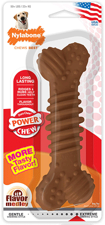 [NCF305P] NYLABONE Dura Chew Power Chew Textured Bone Souper