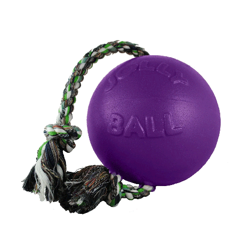 [JP06065] JOLLYPET Romp-n-Roll 6" Purple M
